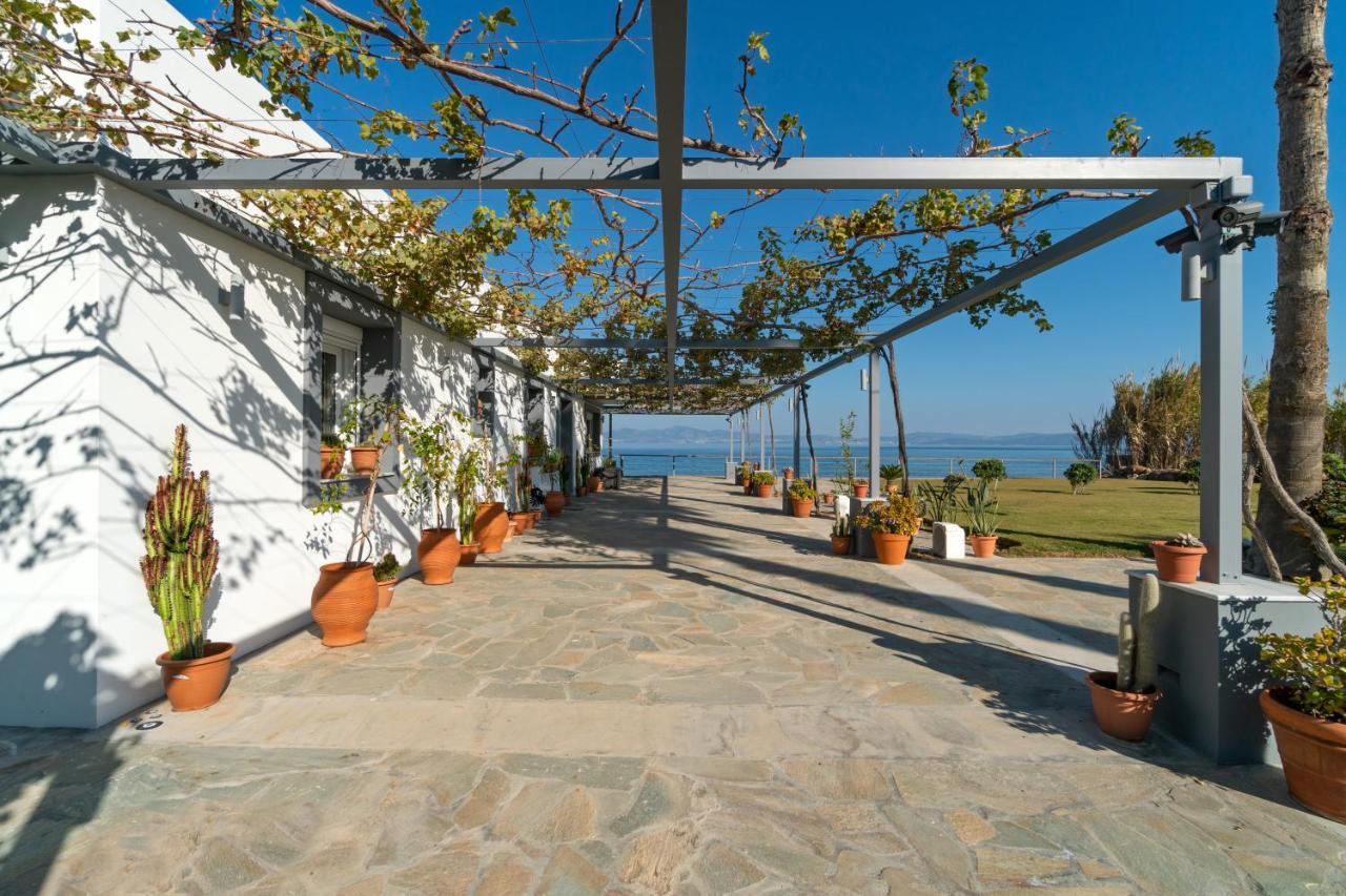 Seaside Private Beach Paradise Kos By Eksteriør billede